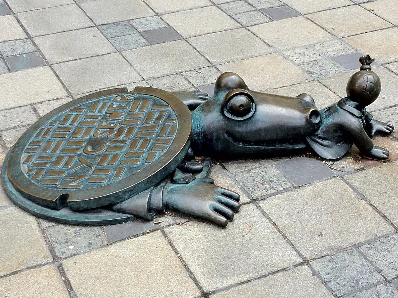 Alligator in the sewer