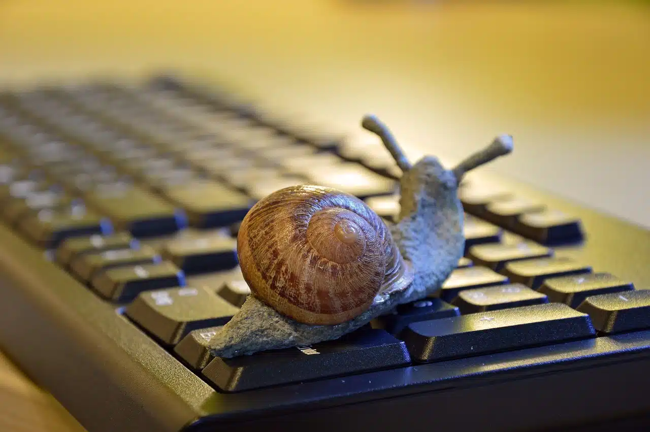 Snail slowness