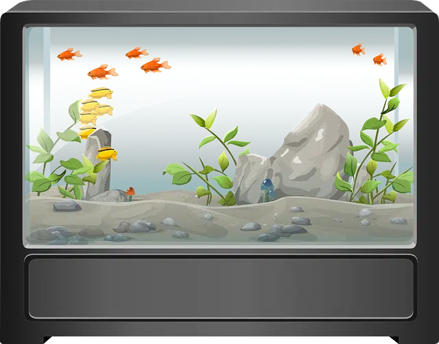 Aquarium