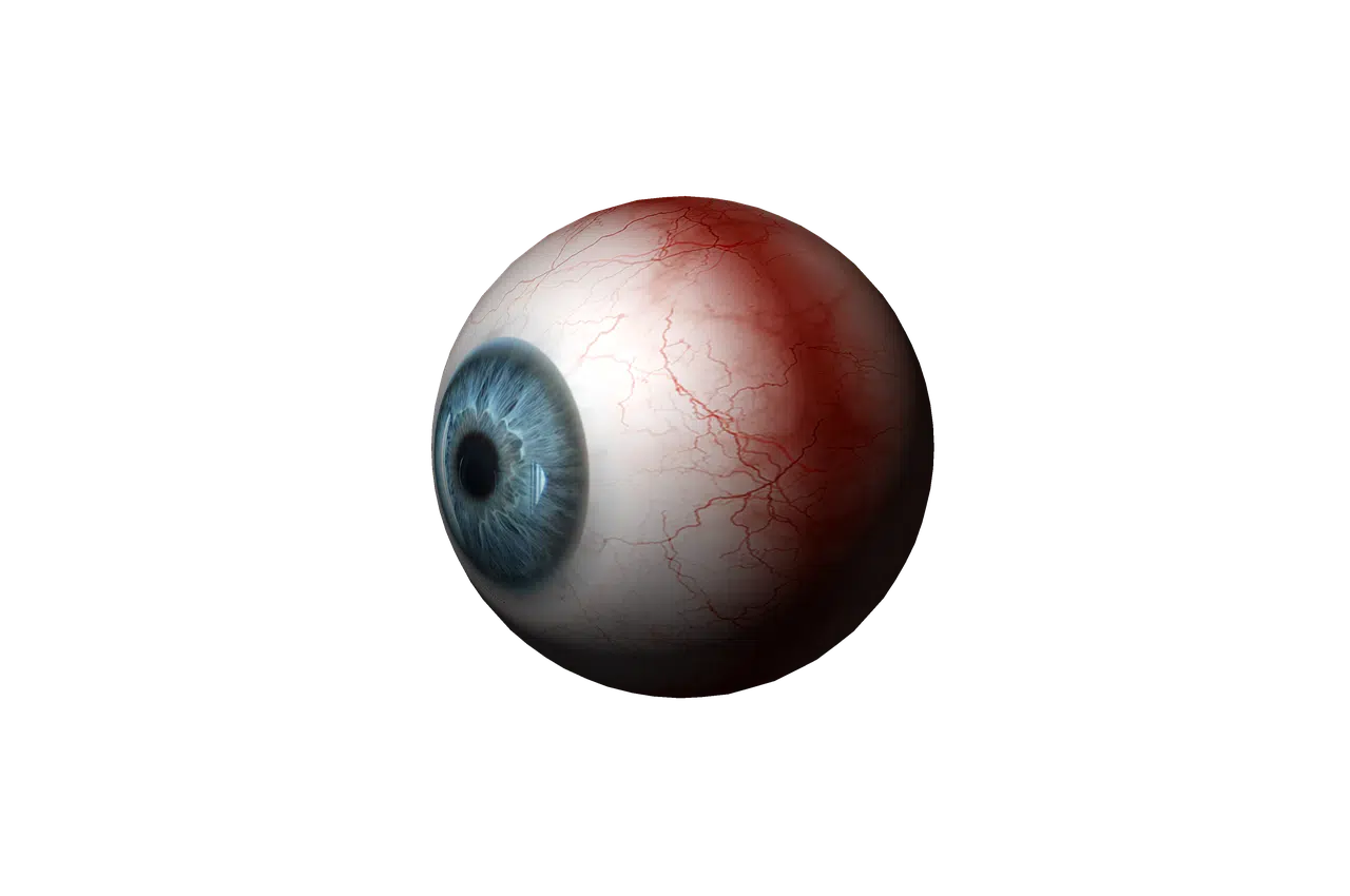 Ocular