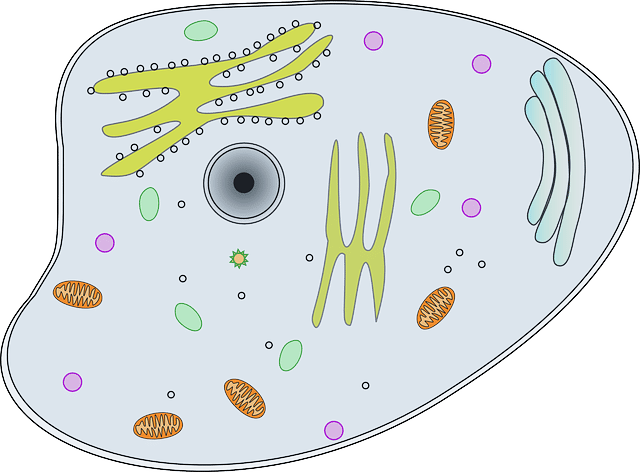 Biology