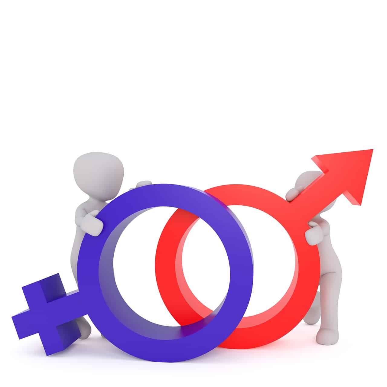 Search for gender equality