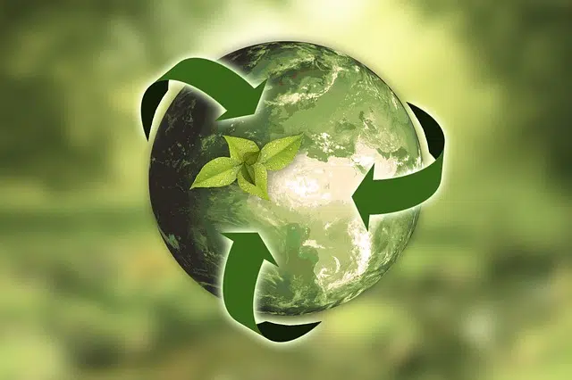 Definition of sustainable