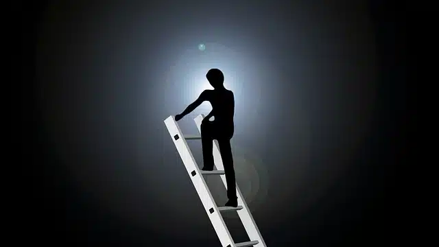 Ladder