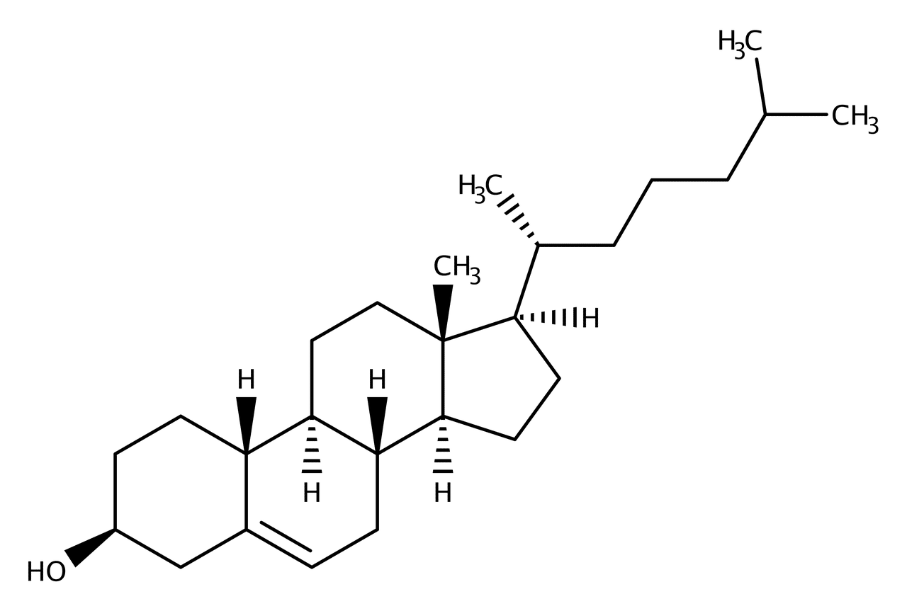 Lipids