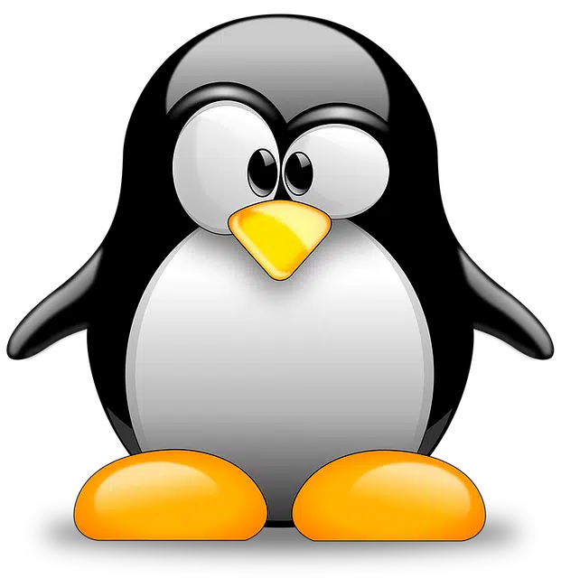 Linux