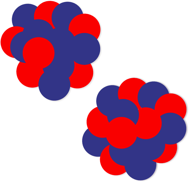 Nucleus of the atom