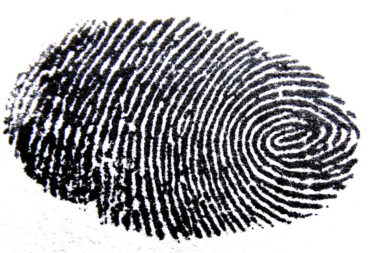 Fingerprint