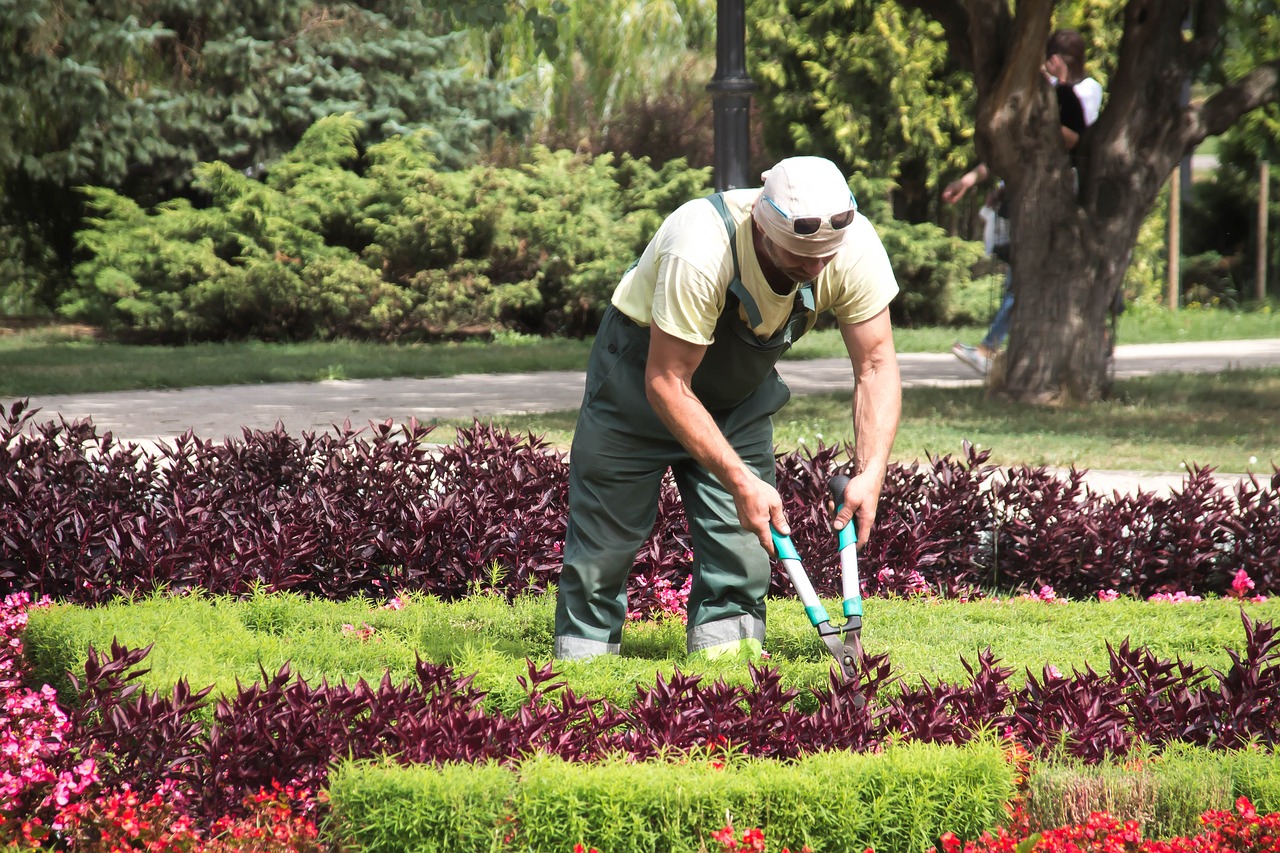 Cut plants