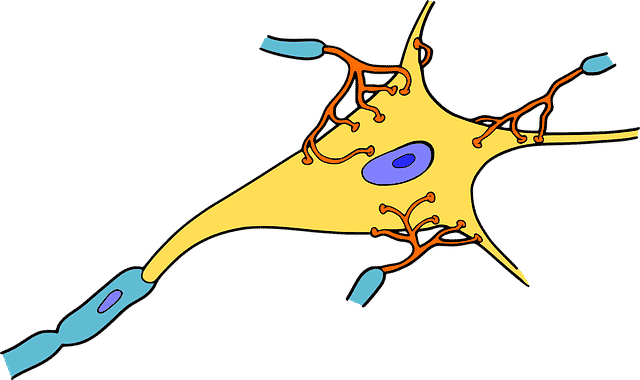 Neuron