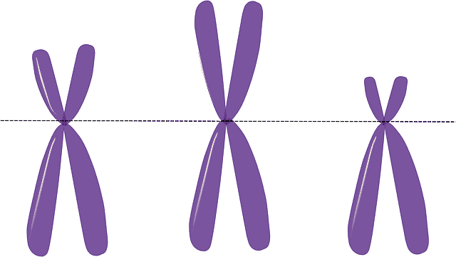 Chromosome alteration