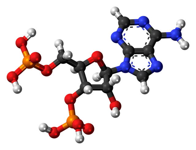 Molecules