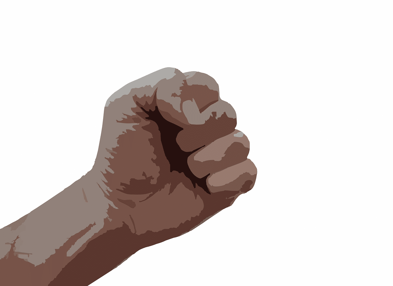 Fist