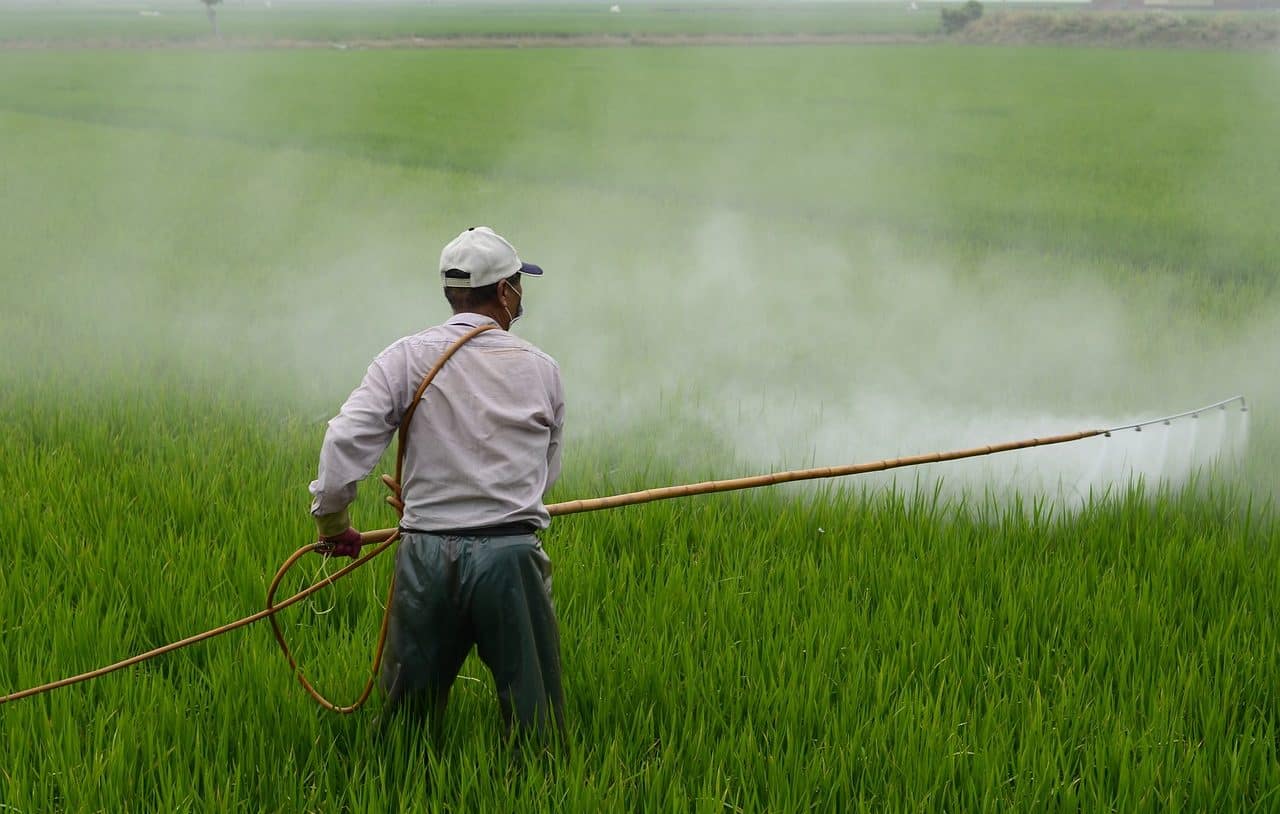 Pesticide