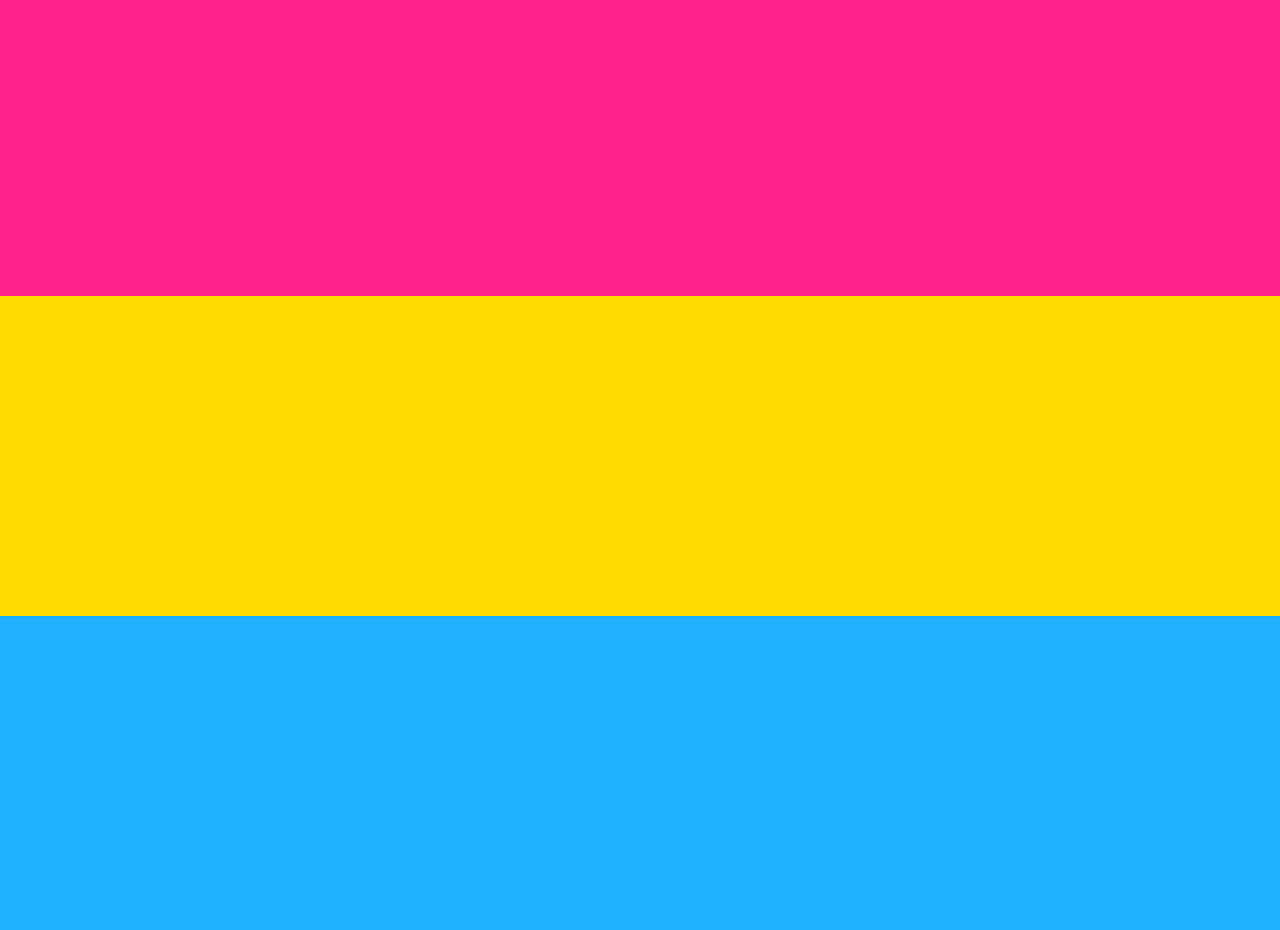 pansexual flag