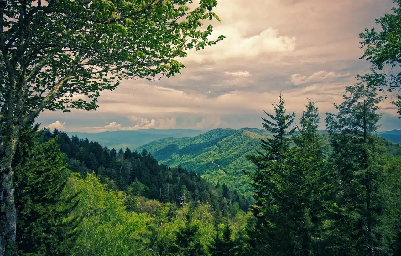 Great Smoky Mountains