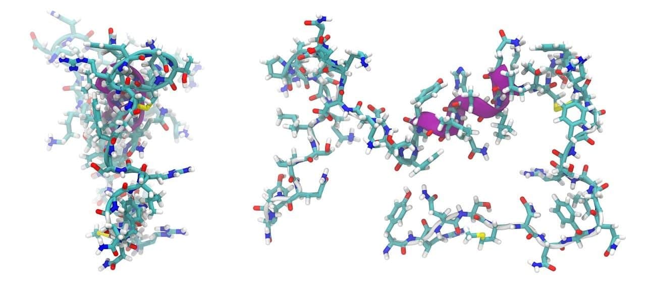 Amino acids