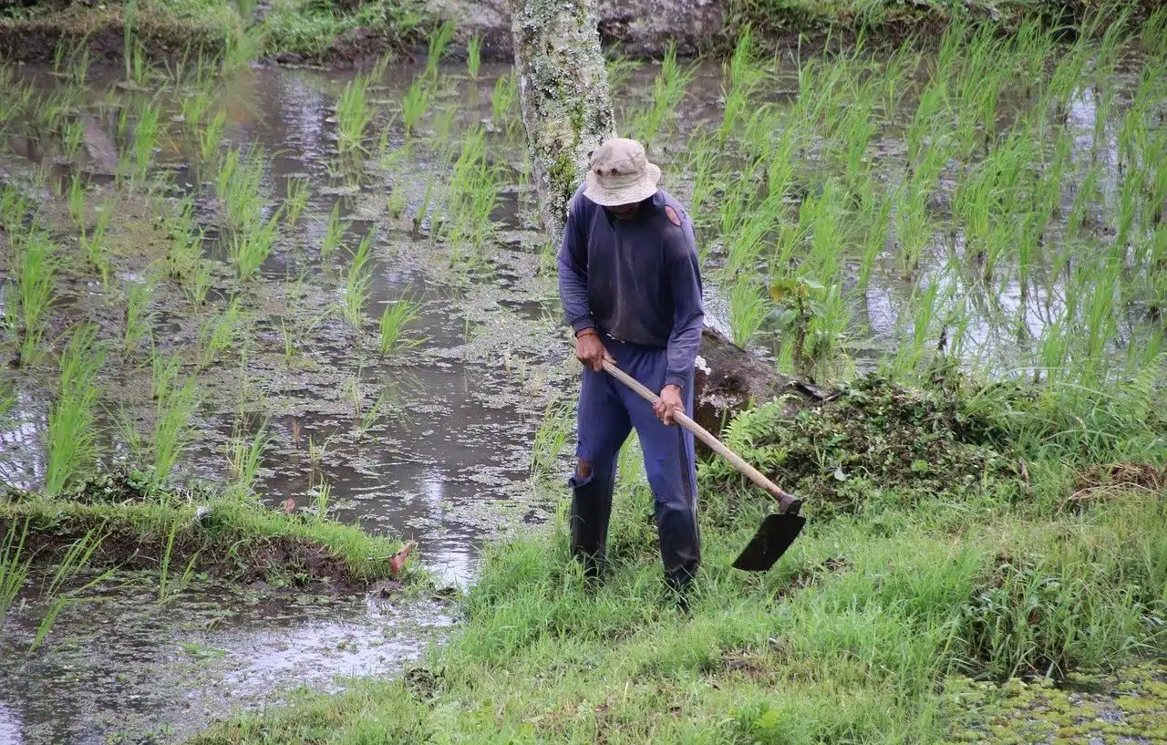 Agriculture