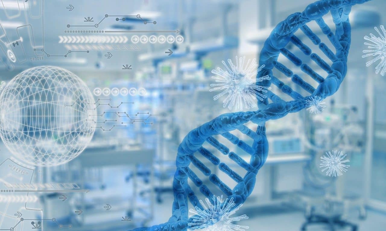 deoxyribonucleic acid