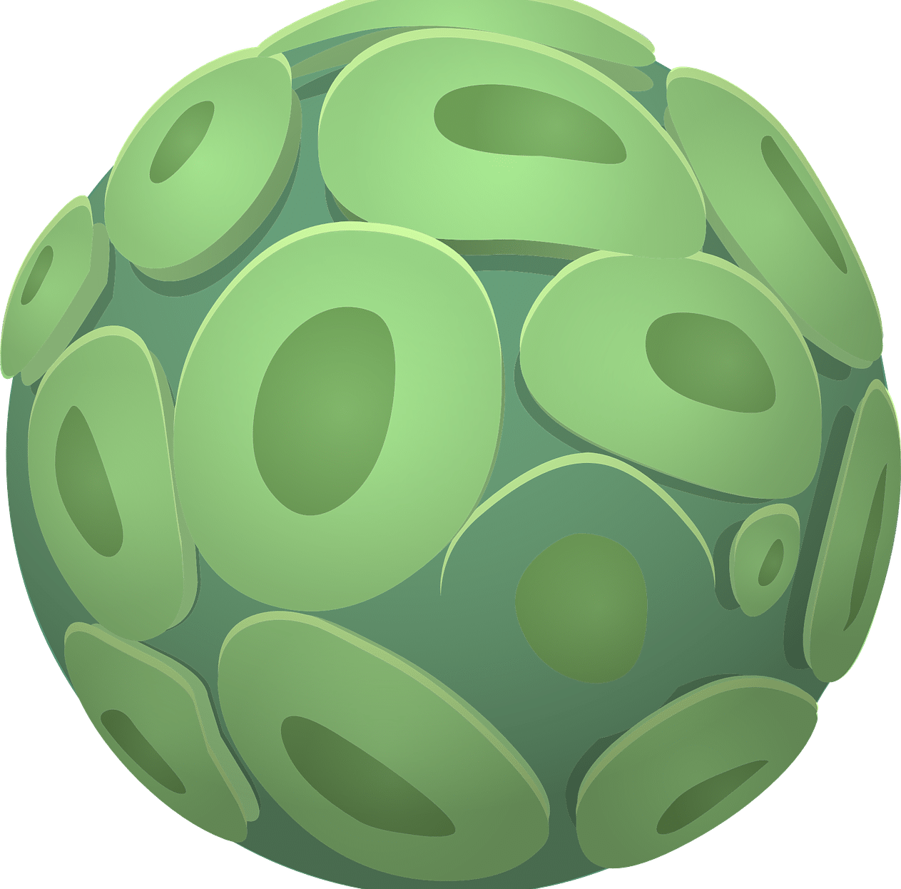 Organelle