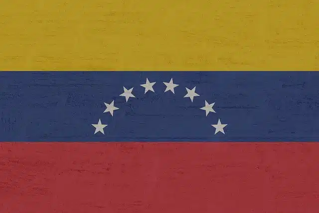 Venezuelan flag