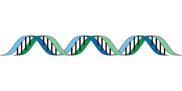 DNA