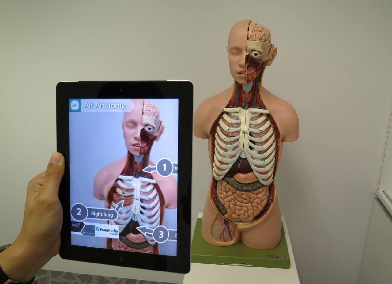 Virtual and physical interaction