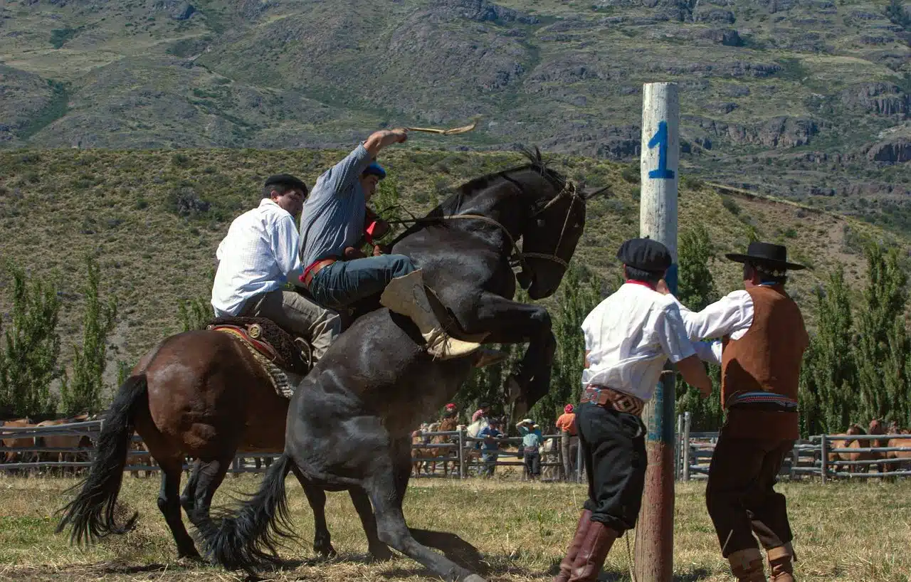 Gauchos