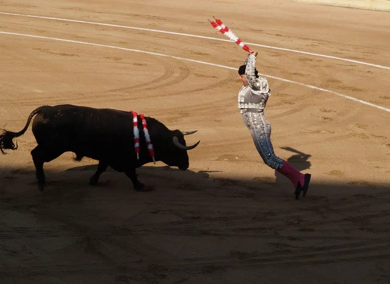 Bullfighter