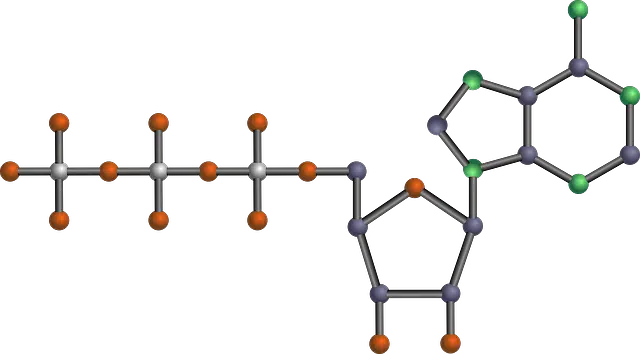 Aldopentose