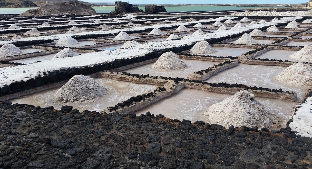 salt industry