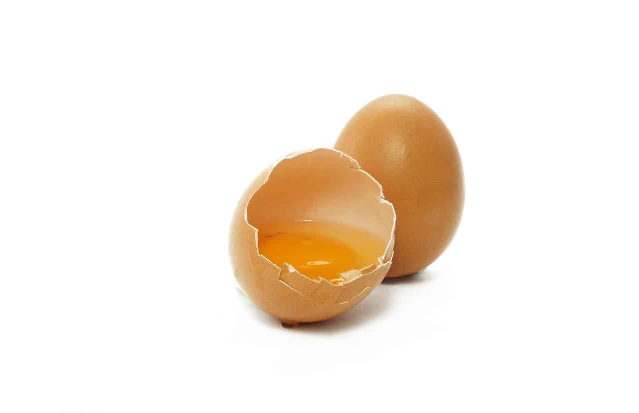 Egg