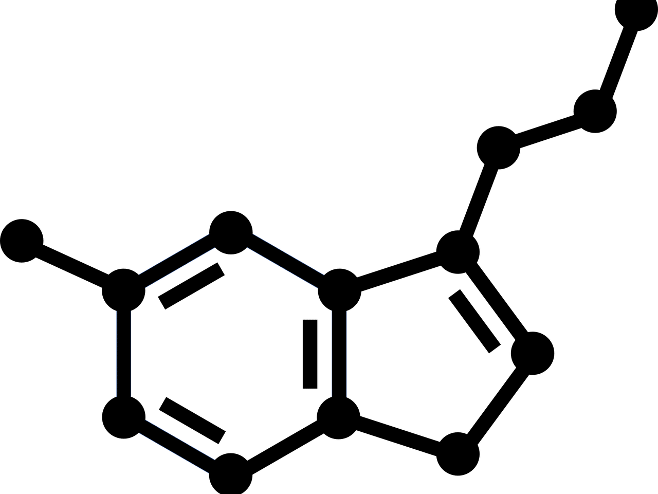 serotonergic system