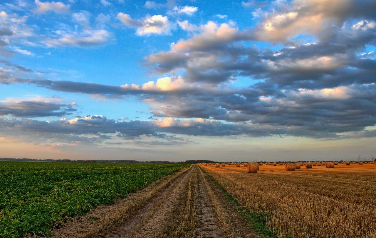 Agriculture