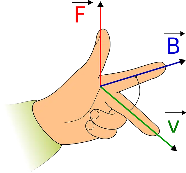 Vectors