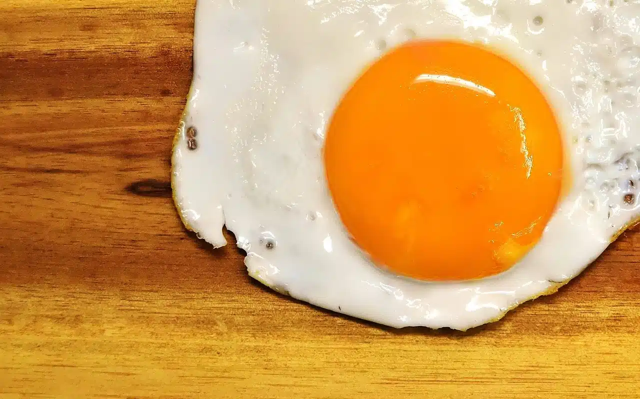 Egg