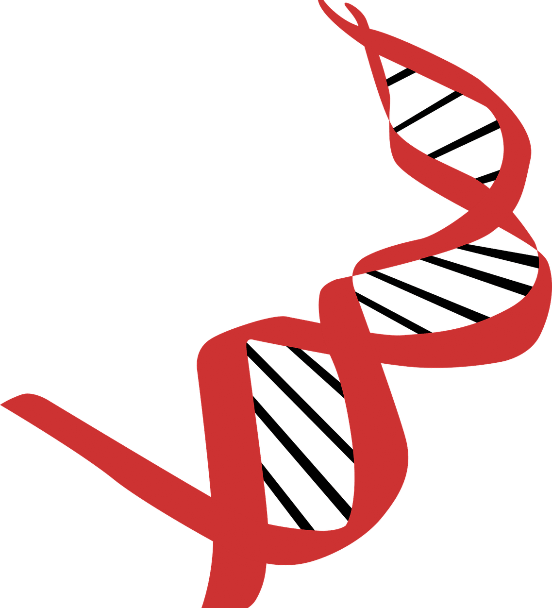 deoxyribonucleic acid