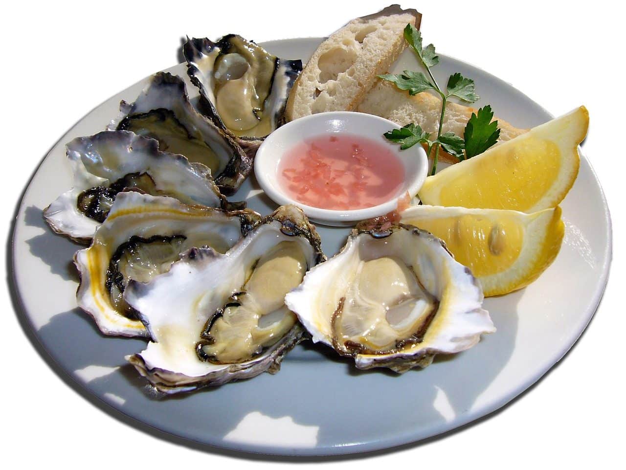 oysters