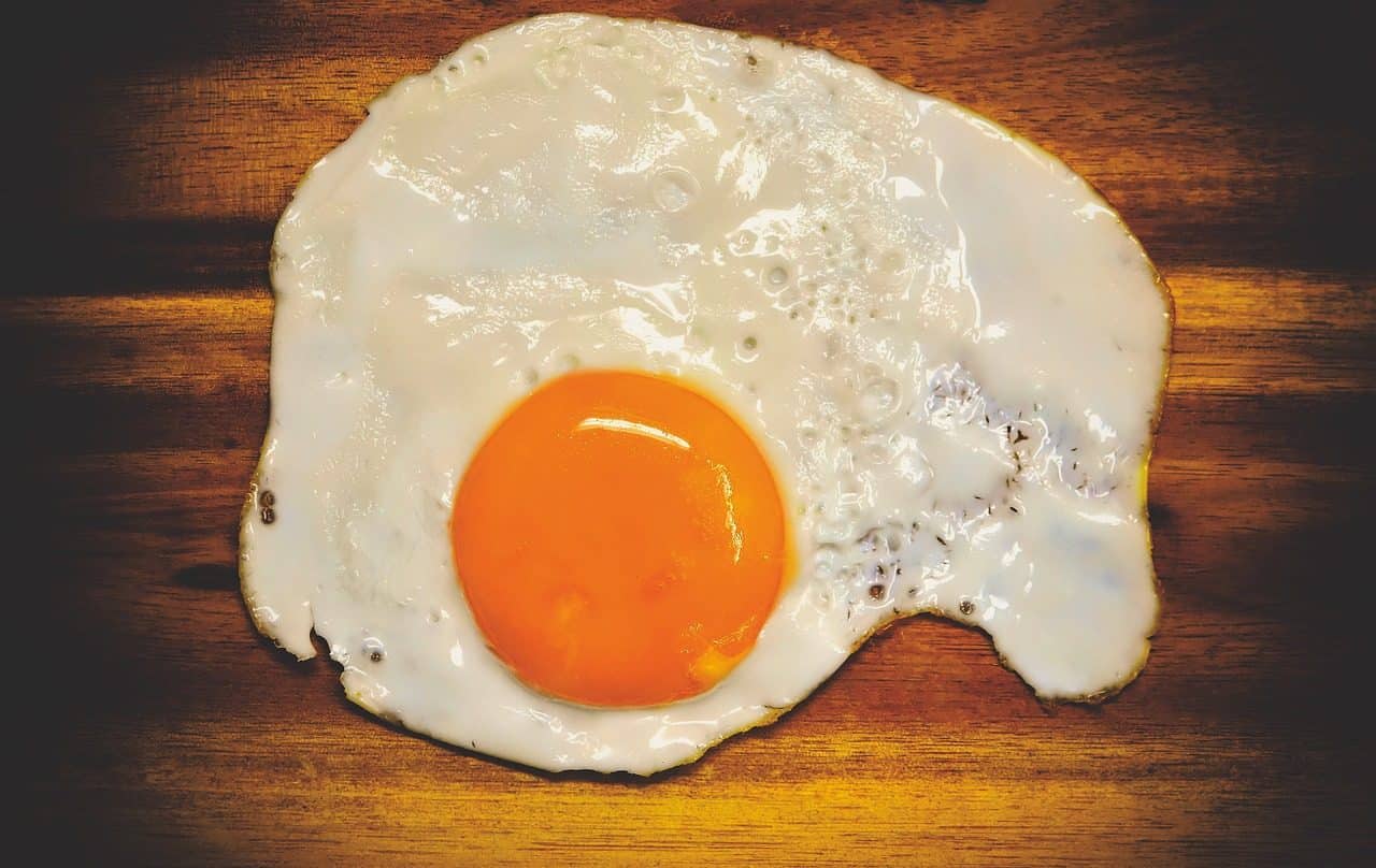 Egg