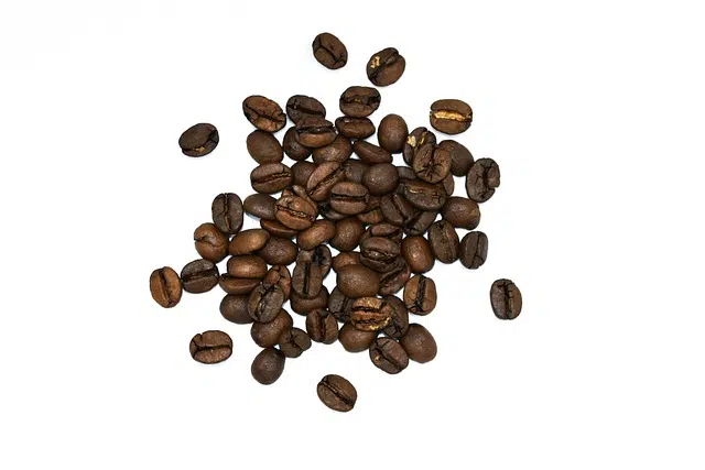 Arabica coffee