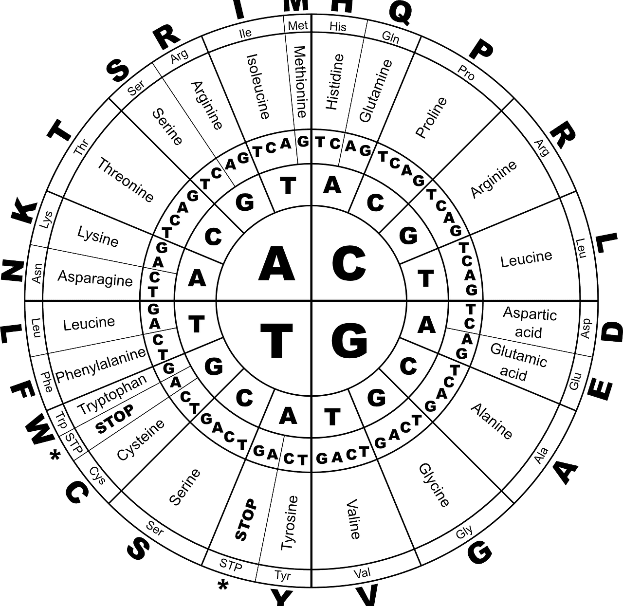 Molecules