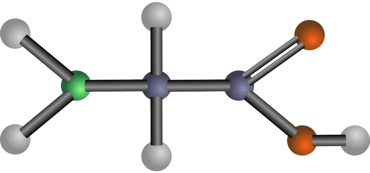 Non-essential amino acid