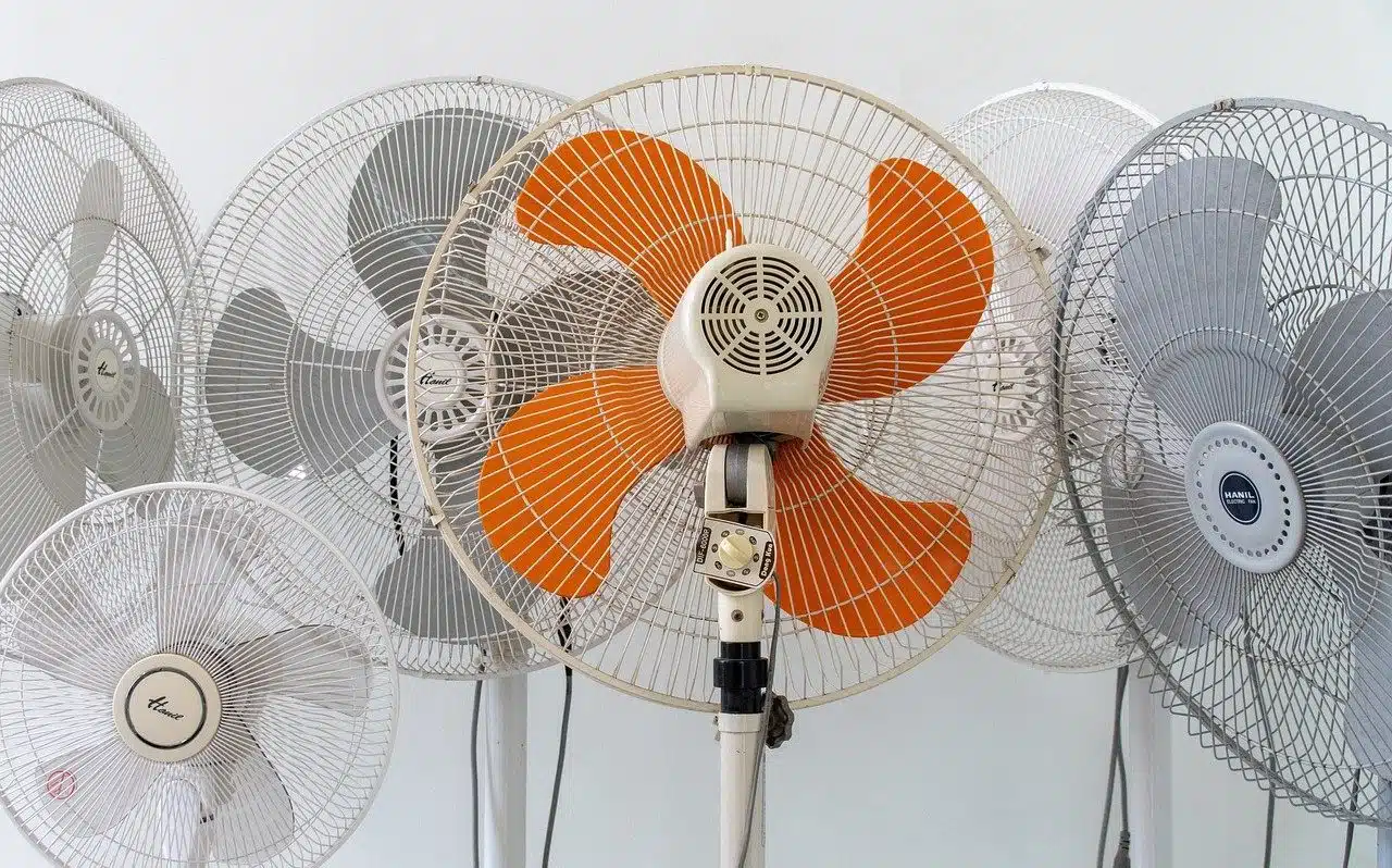 Fan