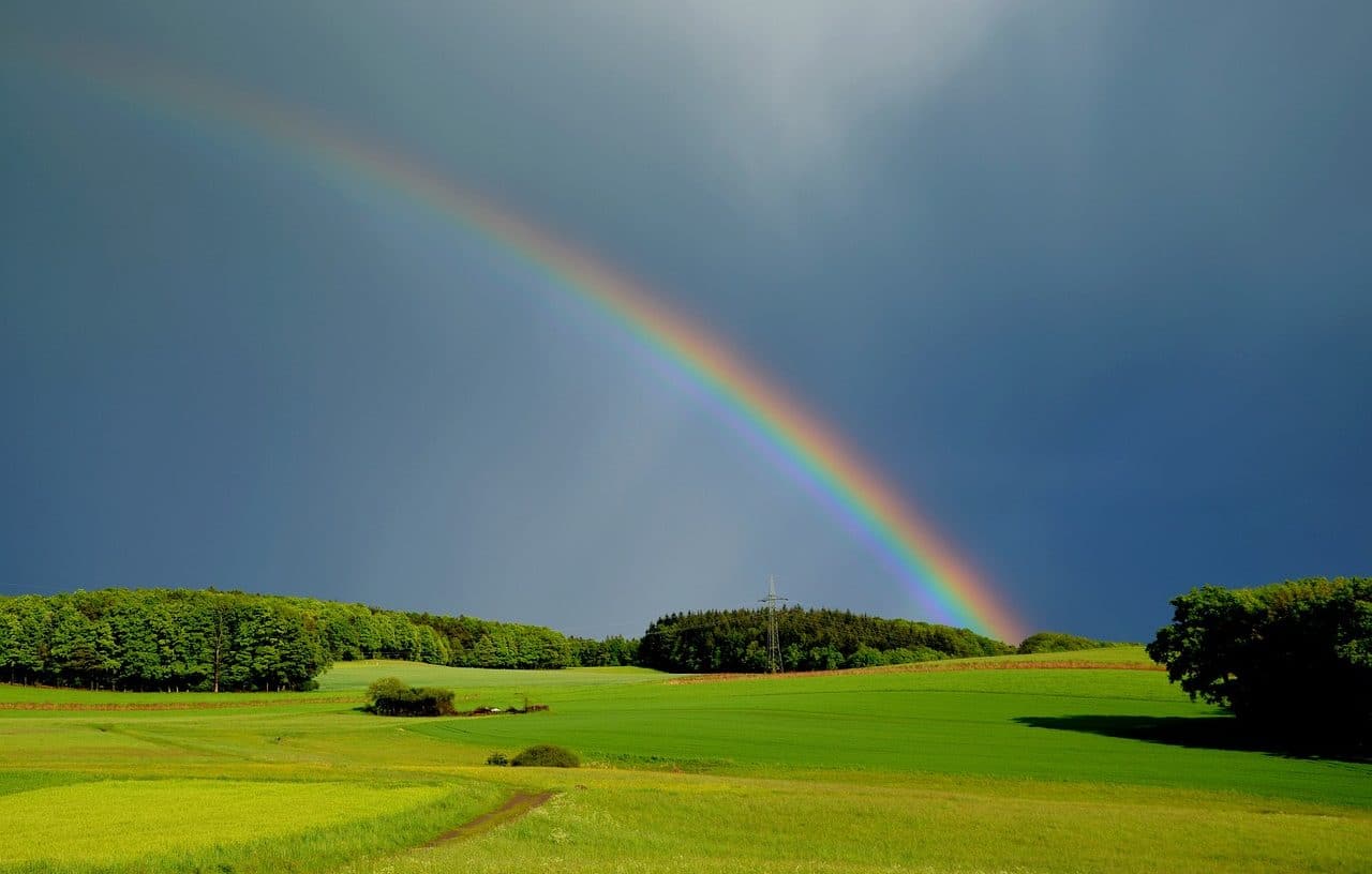 meteorological phenomenon