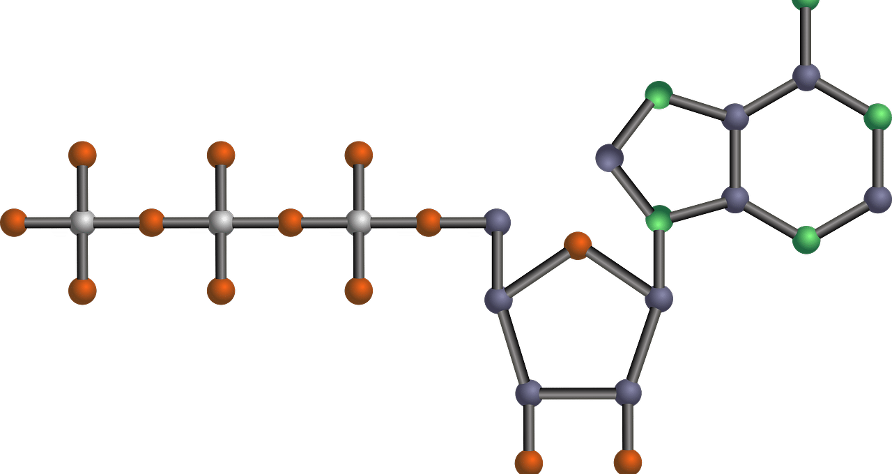 Nucleotide