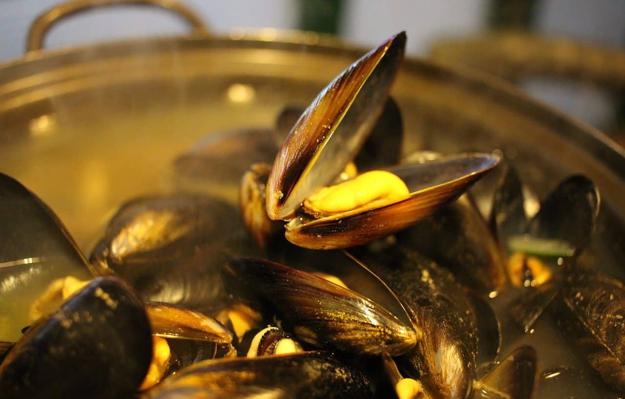 Mussels