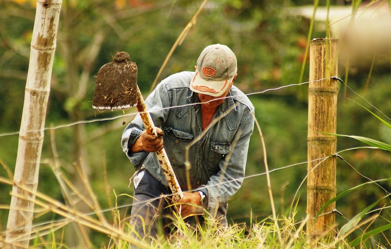 rural worker