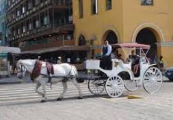 Carriage