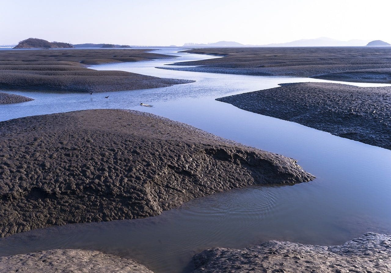 Marshland