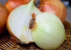 Onion